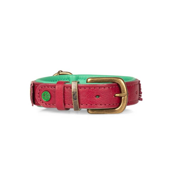 Dog with a Mission - Wholesale Pet Collar - Dog - Lou Lou collar7