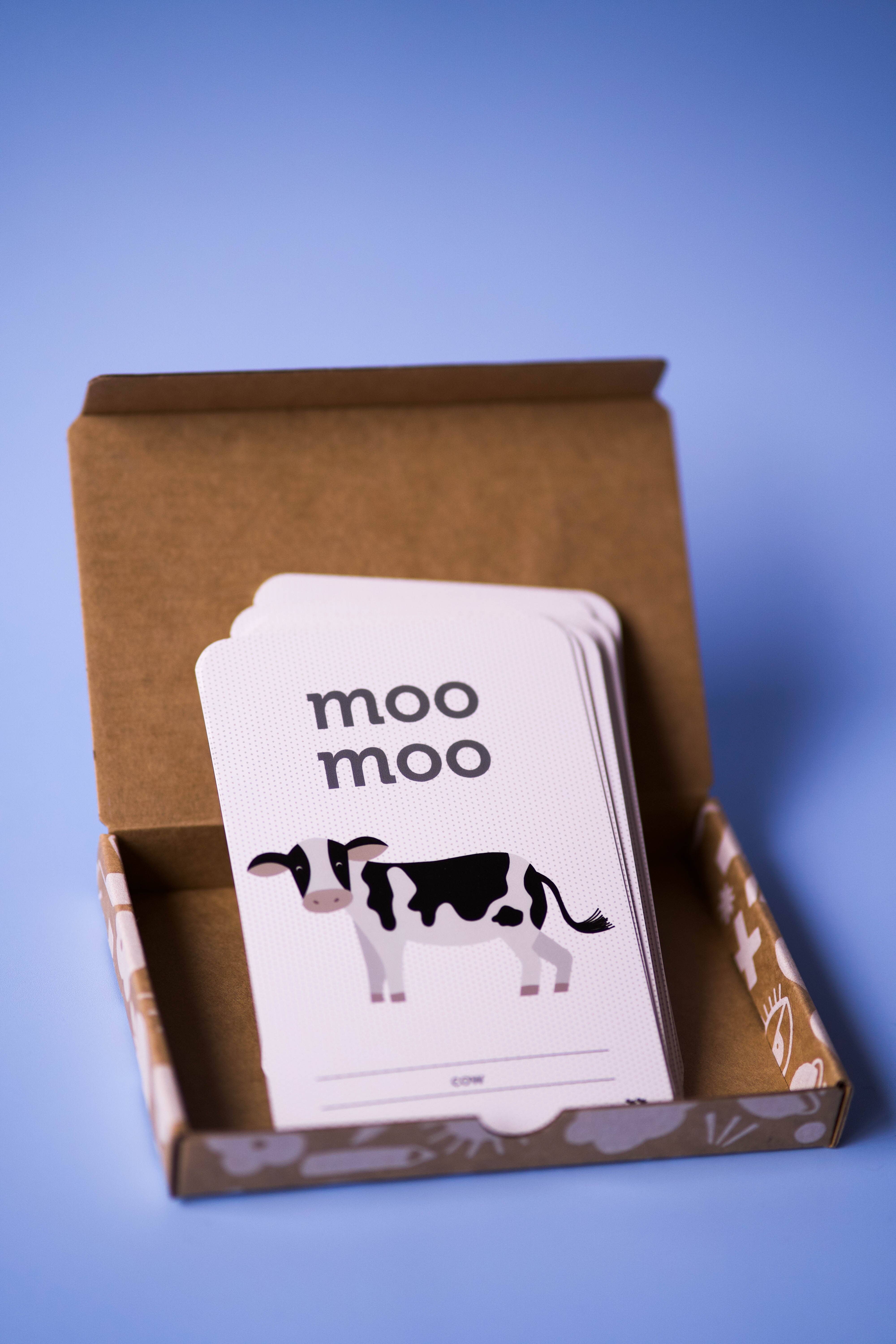 Two Little Ducklings - Wholesale Learning cards – Child & baby - Animal Sound Flash Cards4