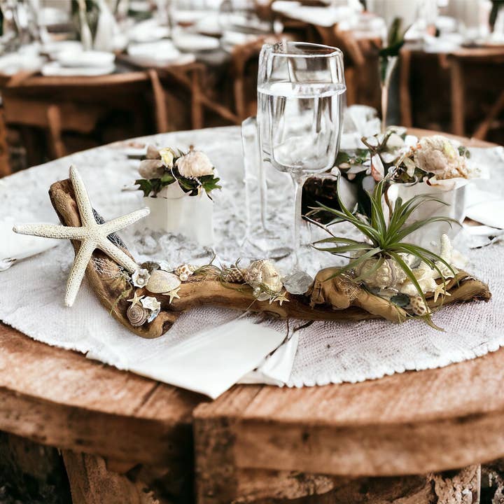 Ocean Whimsy Shop - Wholesale Decorative Tabletop Object - Grapewood and Seashell Centerpiece, Airplant Holder, Beachy Homedecor, Decorative Sculpture6