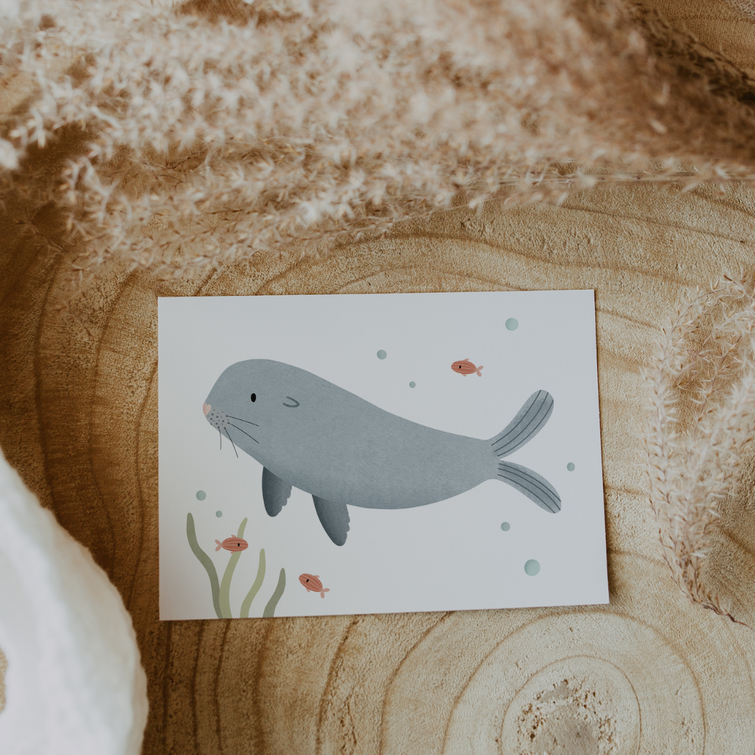 Tilda&Theo - Wholesale Birthday Card - Seal postcard - marine animals seal children's card birthday4