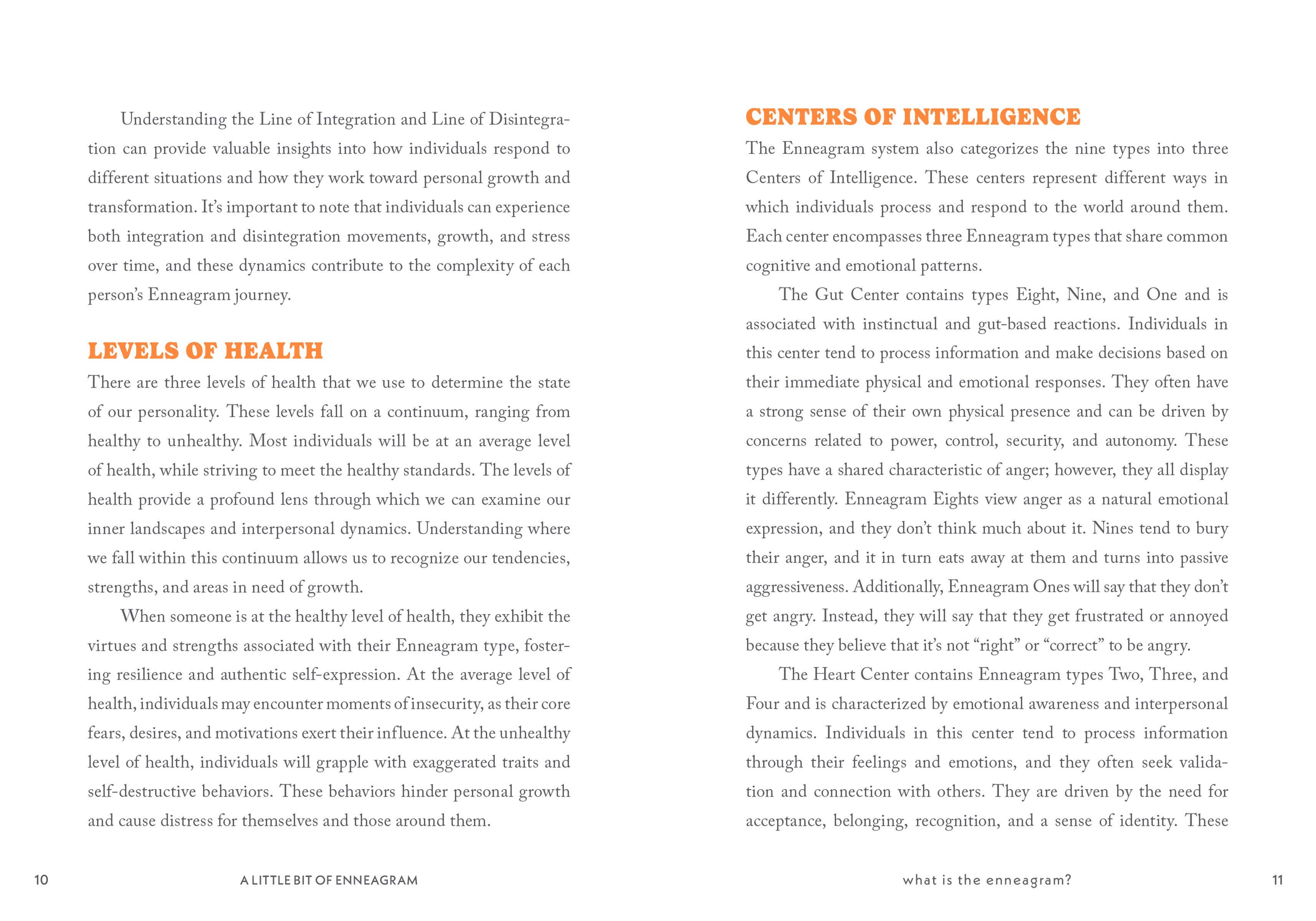 Hachette Book Group - Wholesale Self-Help & Personal Development - A Little Bit of Enneagram: An Introduction5