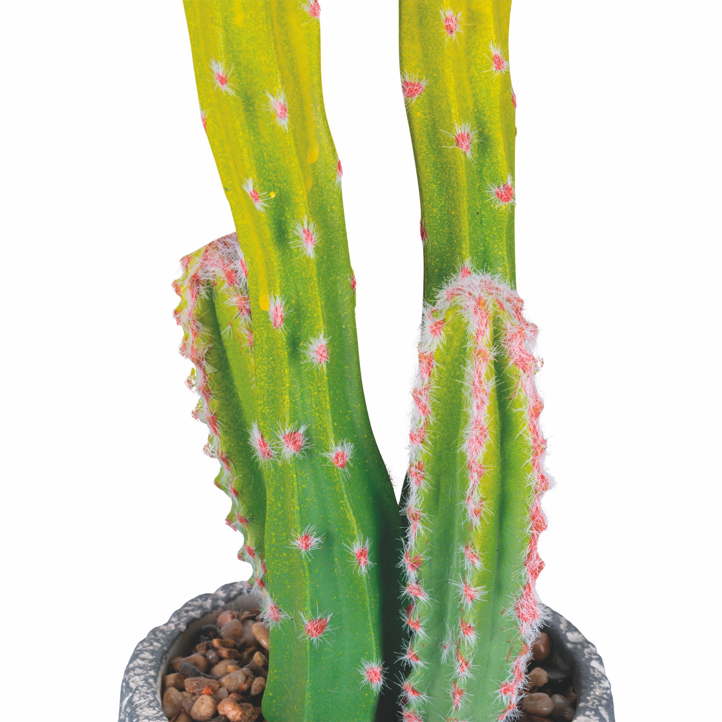 VdE Tivoli 1996 - Wholesale Artificial Plant - CACTUS PLANT H. 40.5CM1