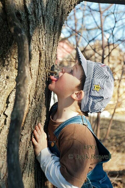 Silloway Maple - Wholesale Maple Syrup - Bourbon Barrel Aged Maple Syrup4