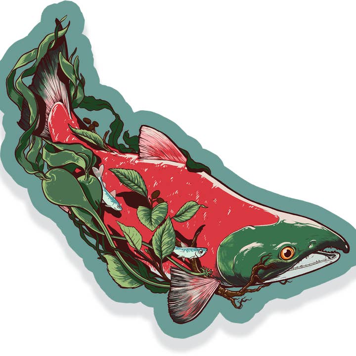 Sockeye Salmon - Vinyl Sticker for wholesale by Amanda Key Design