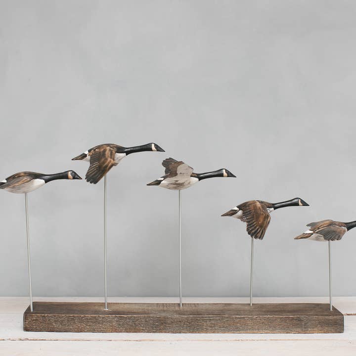 Aviologie - Wholesale Decorative Figurine - Canada Goose - Flying Set of 5 - 22"L -Carved Ornament