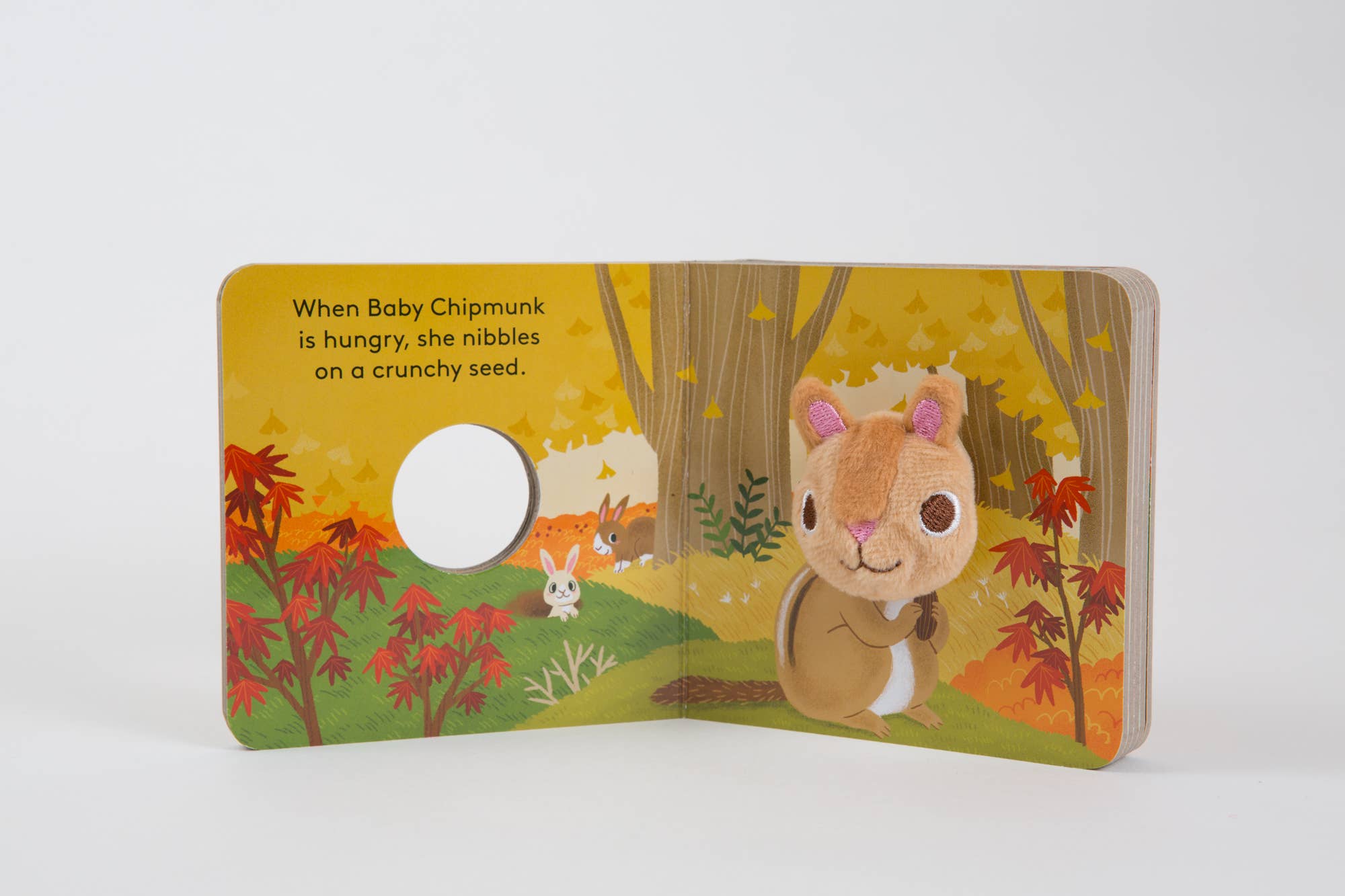Chronicle Books - Wholesale Baby & Toddler Book (0-2) - Baby Chipmunk: Finger Puppet Book4