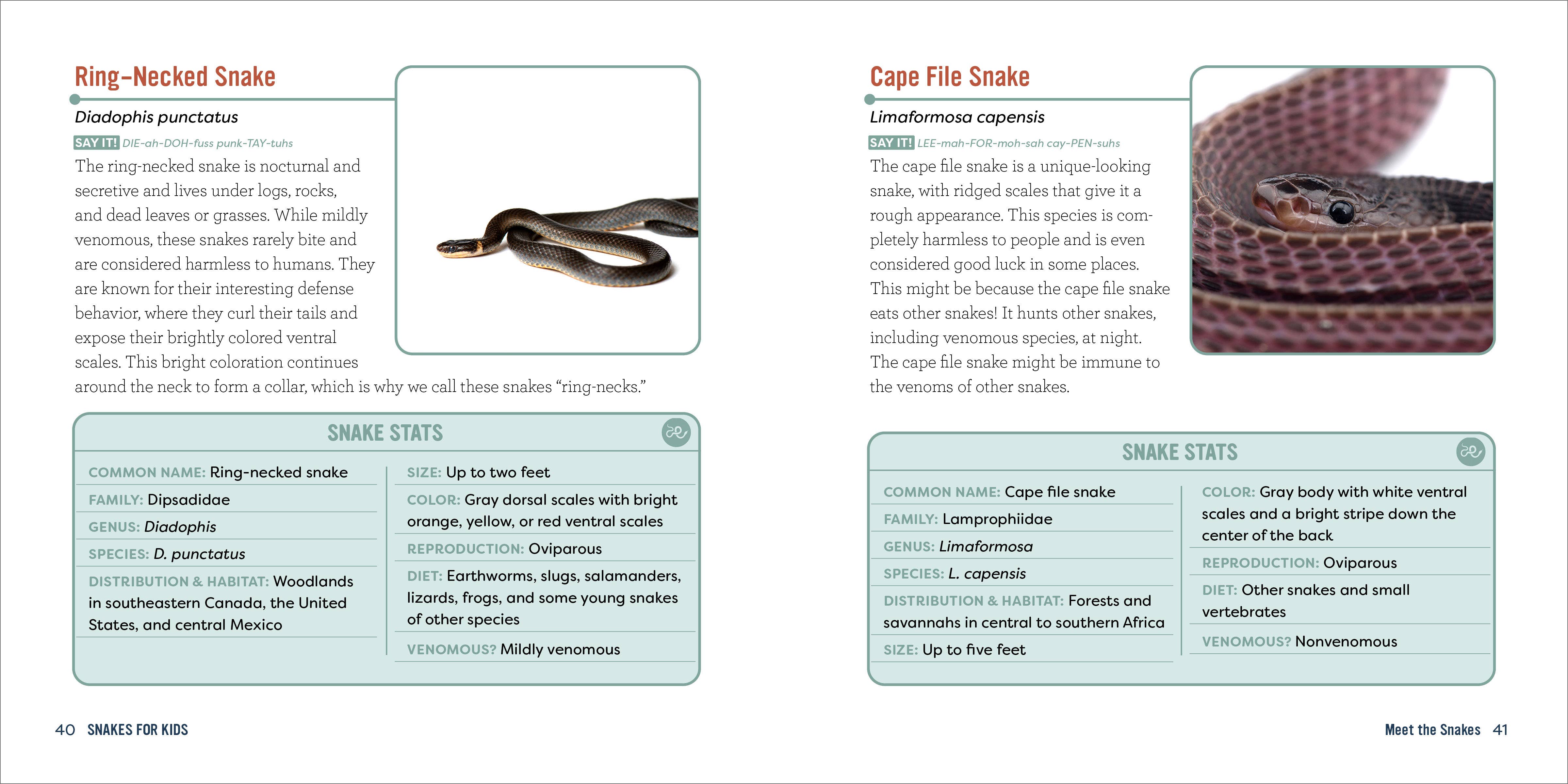 Sourcebooks - Wholesale Nature & Outdoors - Snakes for Kids1