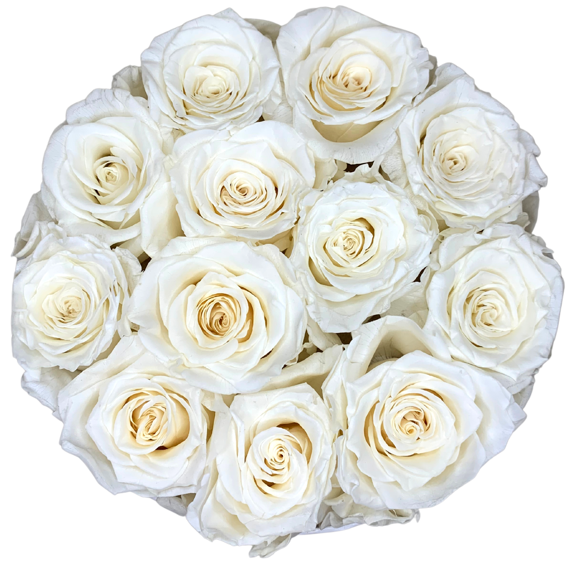 verona home and gift - Wholesale Dried/Pressed Flowers - 12 Real Preserved Roses that Last Forever In Round Box18