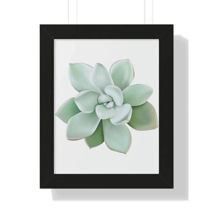Pachyveria Haagei Print Framed Succulent Wall Art Pastel Silvery Leaves Premium Matte Paper Modern Home Decor for wholesale by The Potted Pixel