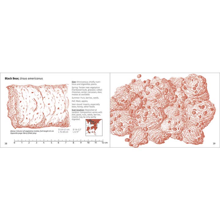 AdventureKEEN - Wholesale Nature & Outdoors - Scat Finder 2nd Edition9