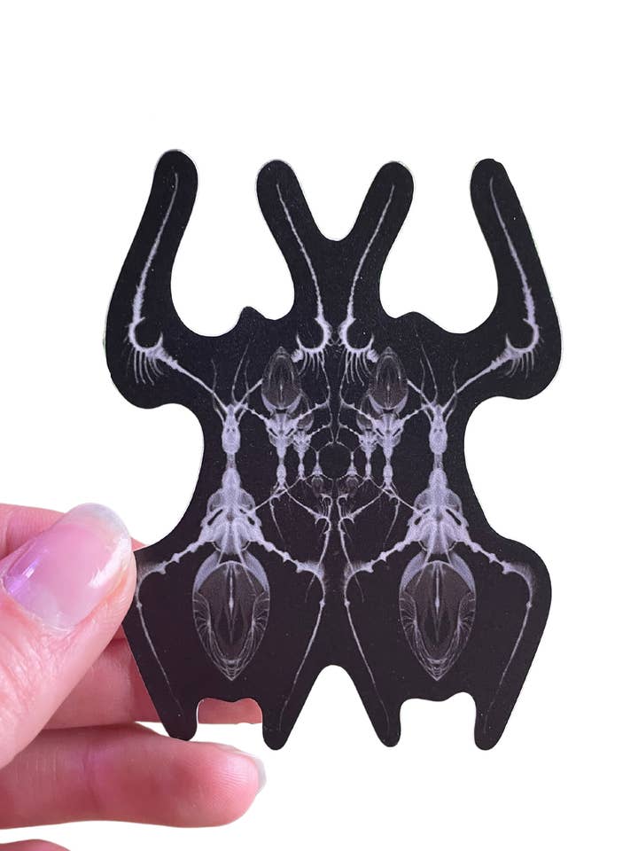 Autocollant en vinyle Antweb, autocollant artistique imperméable effrayant pour la vente par Signum Somnia