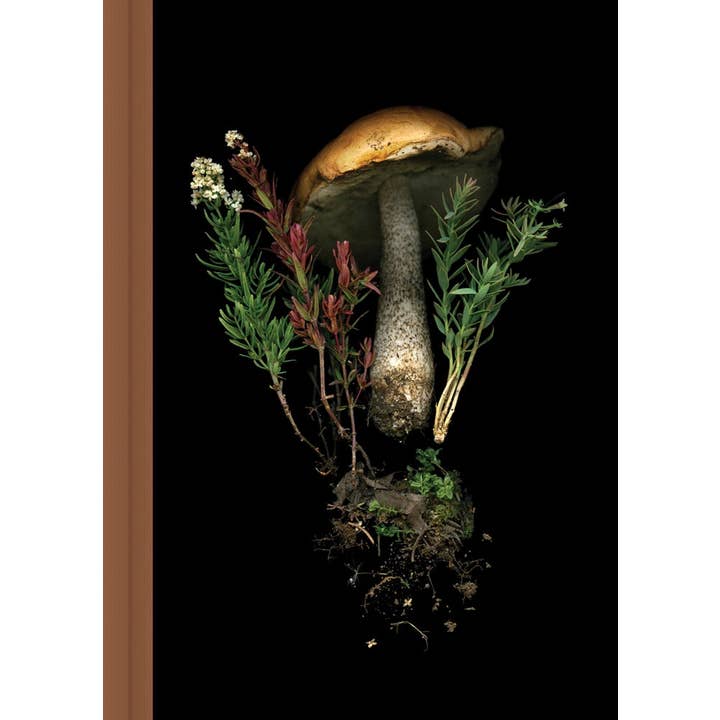 Chronicle Books - Wholesale Journal/Diary - Deep Dark Forest Mushroom Journal
