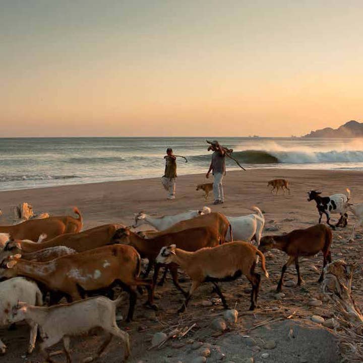 AMMO Books - Wholesale Book - Adult - Distant Shores: Surfing the Ends of the Earth