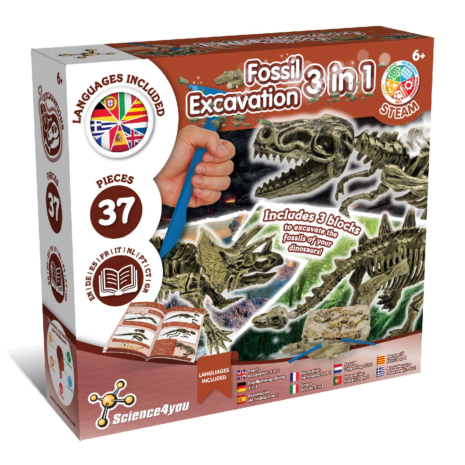 Science4you - Vendita all'ingrosso Set di giocattoli - Bambini - Fossil Excavation 3 in 1 - Gioco educativo per bambini in 9 lingue0