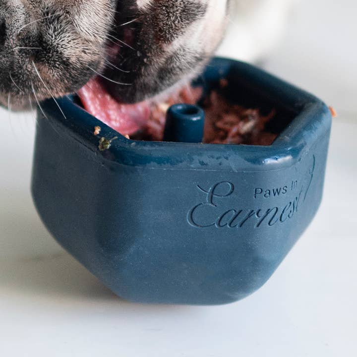 Rylo - Dog Enrichment Slow Feeder Toy - Pet Interactive Toy. for wholesale by Paws in Earnest