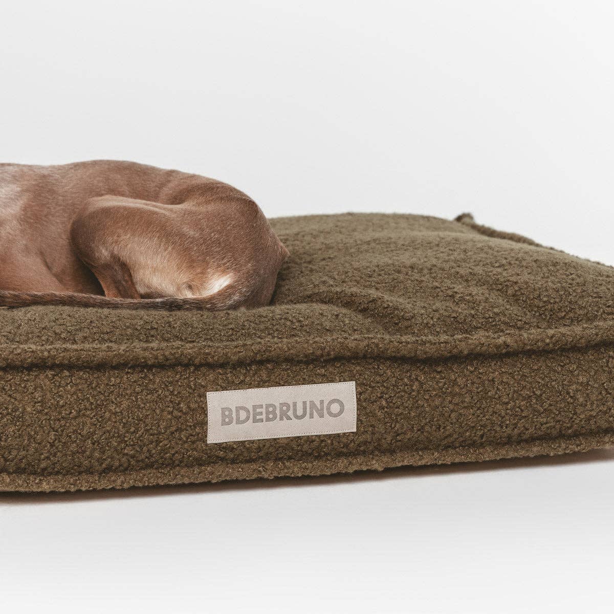 B de Bruno – Engroshandel Seng - Hund – Funda Basic Teddy Khaki2