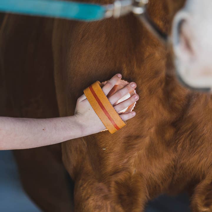 Kawell USA - Wholesale Horse Conditioner/Grooming Aid - Kawell Copper Curry Horse Brush3