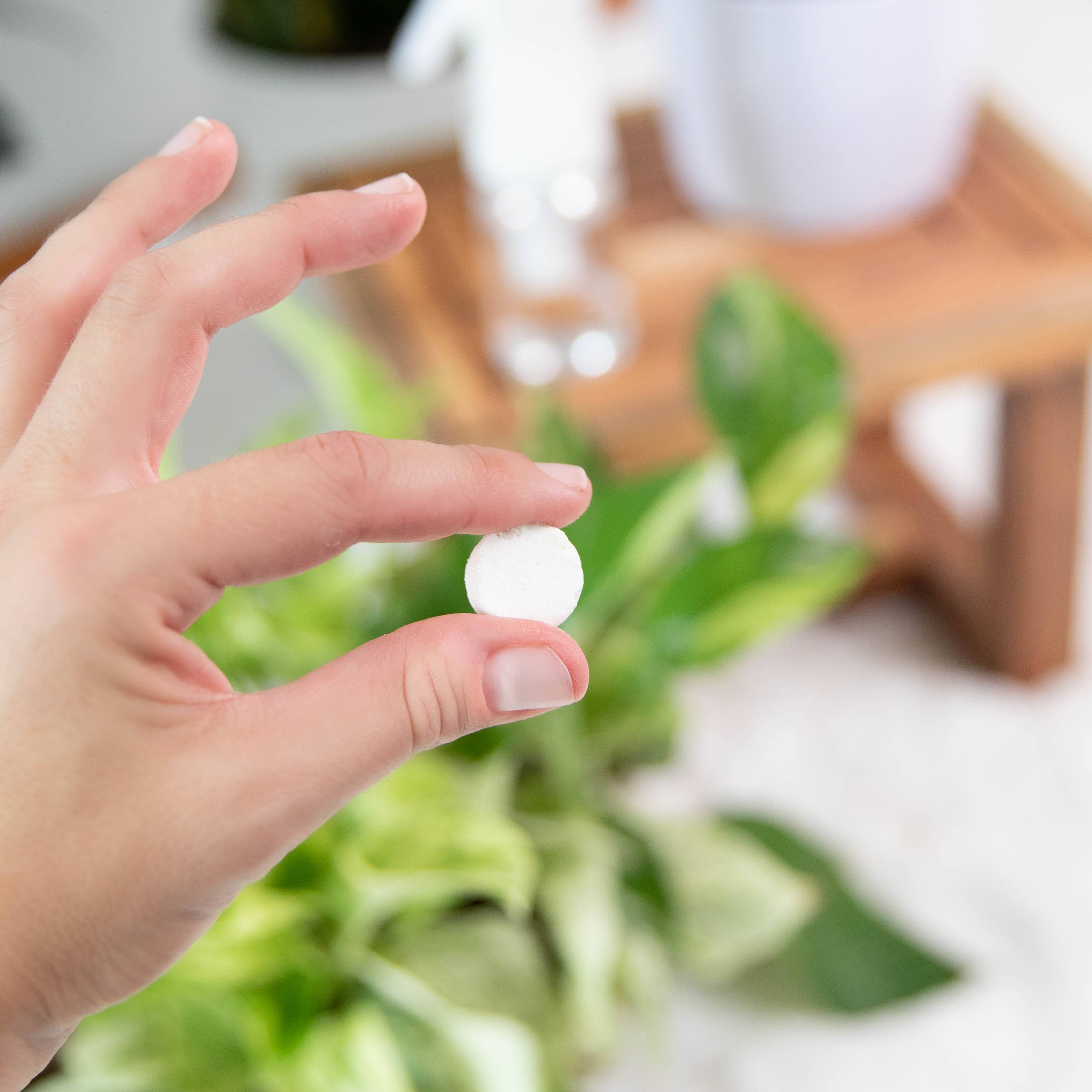 Instant Plant Food - Wholesale Fertilizer - Natural Houseplant Pest Control - Peppermint Leaf Spray BULK1