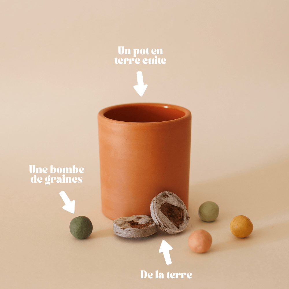 Flowrette - Wholesale Plant Seeds - Planting kit2