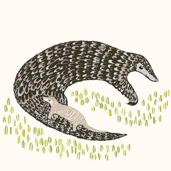 Pangolin et Chiot pour la vente par Paper Bird Publishing