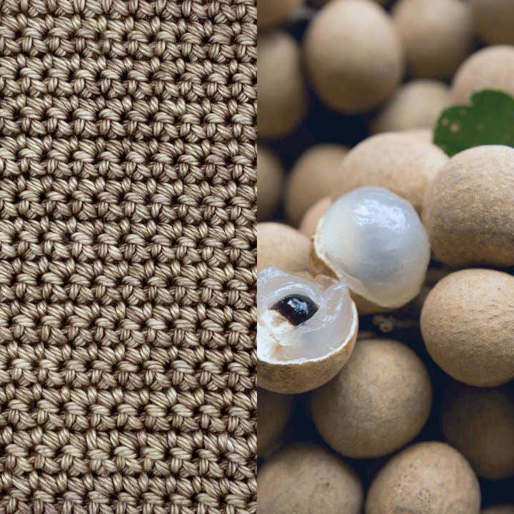 Frutto Occhio di Drago per la vendita all'ingrosso da parte di BzyPeach, LLC