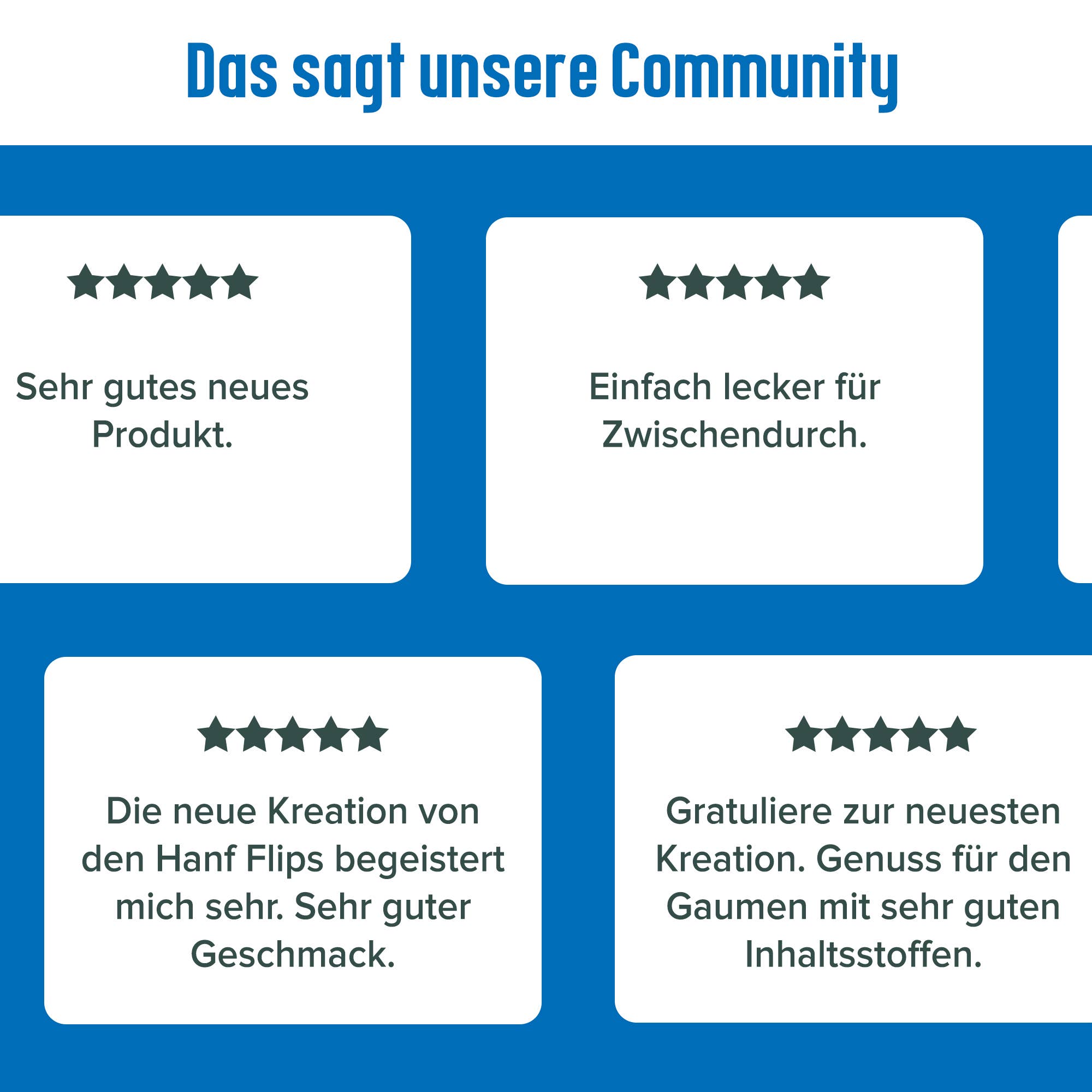 Hempions - Wholesale Puffed Snack - Organic Hemp Flips Sea Salt, 70 g – Gluten-Free Hemp Snack6