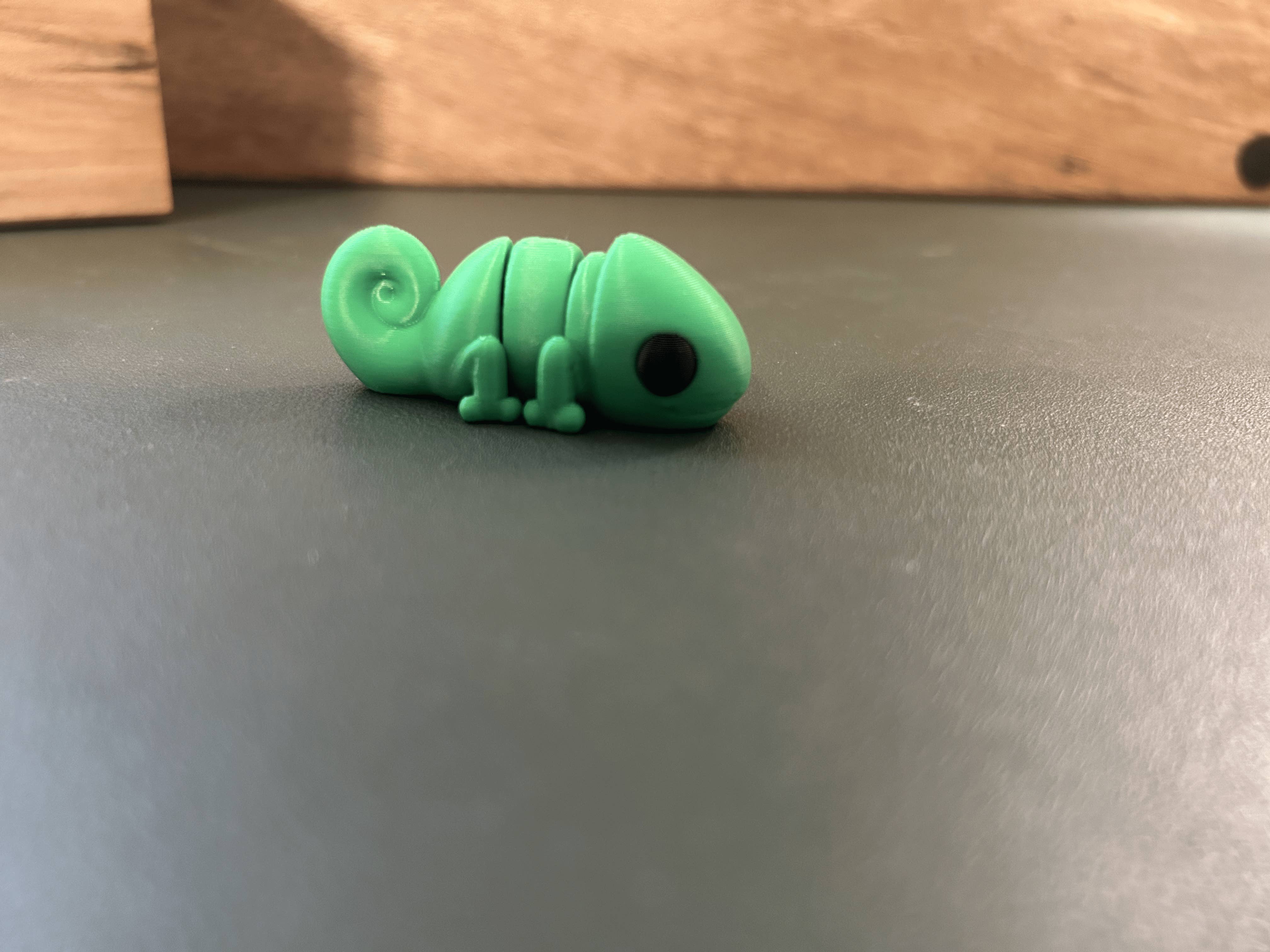 Growing Davis - Wholesale Fidget Toy - Kids - 3D Printed Mini Chameleon