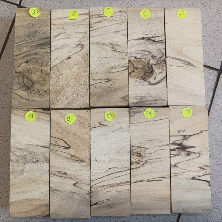 Ébauches et blocs de manches de couteau en bois d'orme échauffé pour la vente par Prut63683
