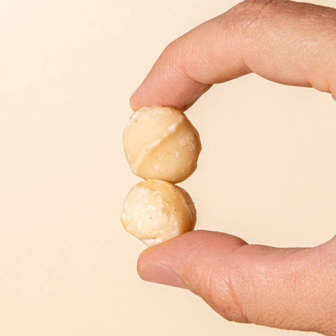 AZADA – Engroshandel Nødder – Rå macadamia2