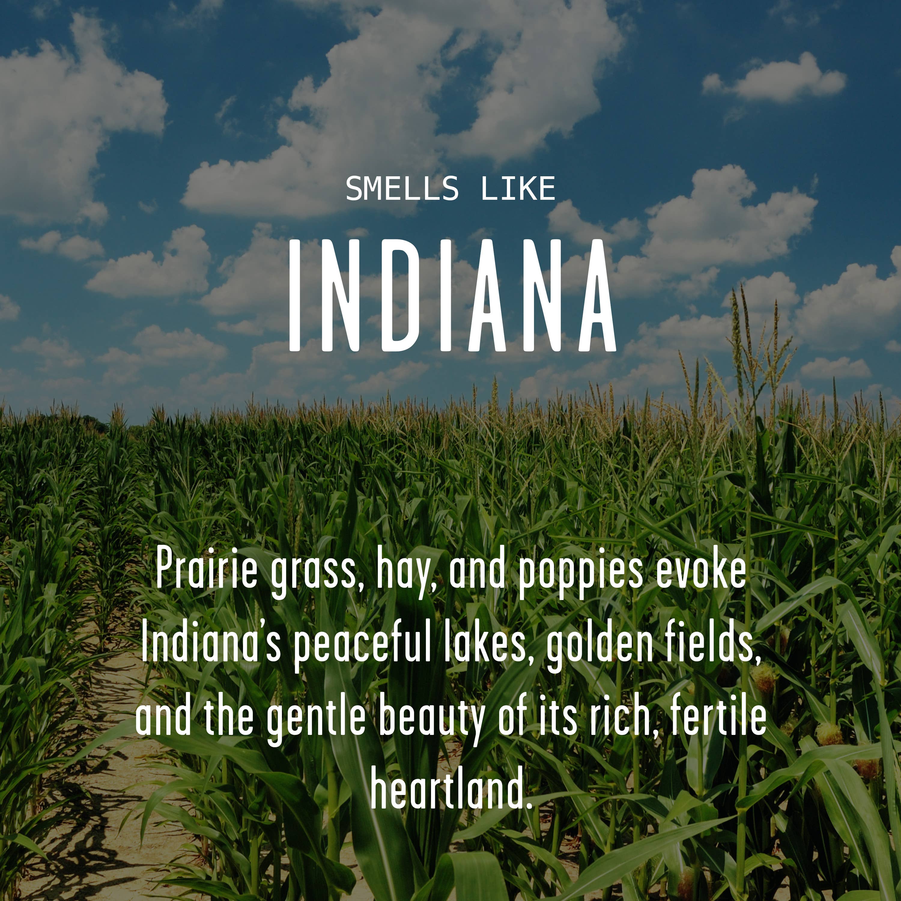 Soy and Sass – wholesale Burkljus – ”Det finns ingen plats som Indiana” sojavaxljus - statliga gåvor1