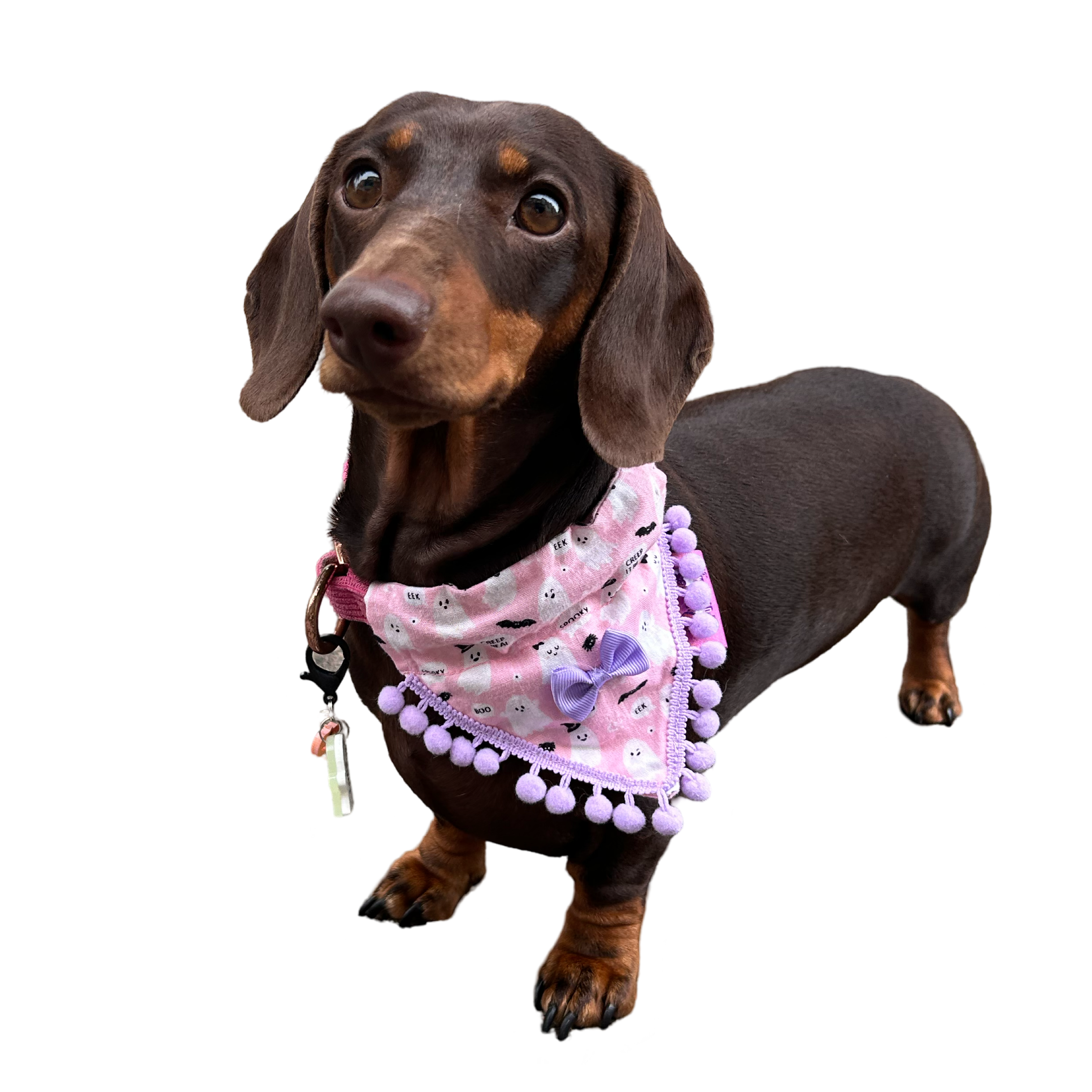 Puppies & Pom Poms - Wholesale Pet Bandana - Dog - Cute Pink Ghosts! Halloween Pompom Dog Bandana4
