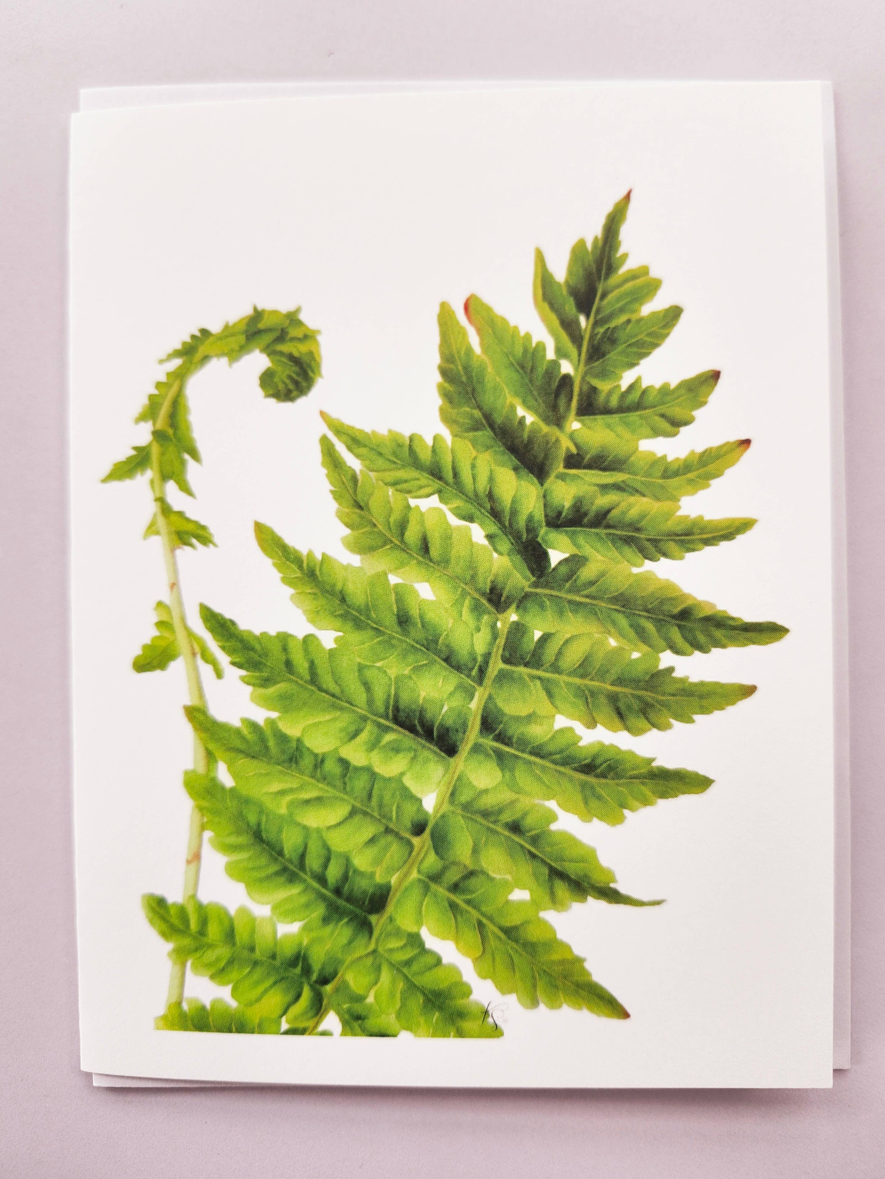 Redbriar Studio - Wholesale Stationery/Notecard Set - Notecards12