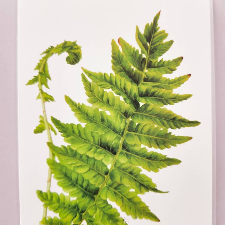 Redbriar Studio - Wholesale Stationery/Notecard Set - Notecards12