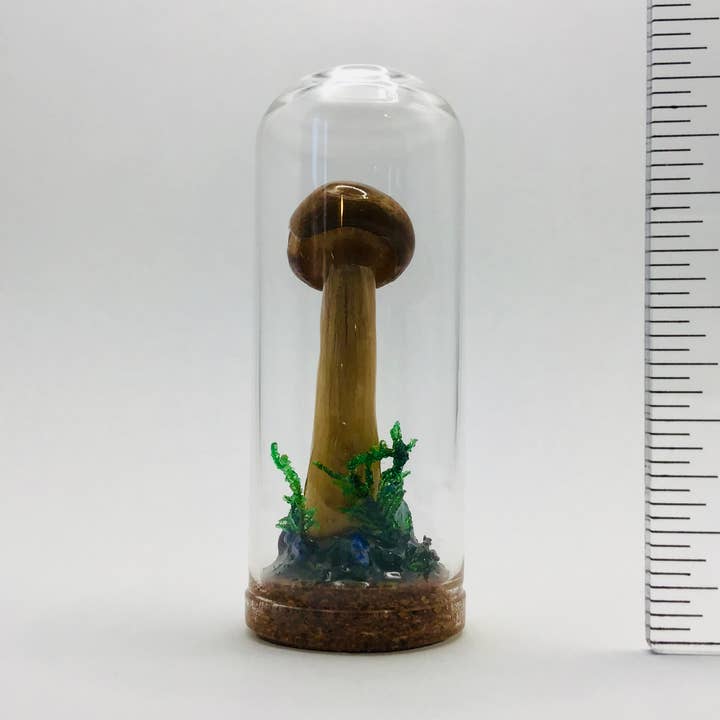 Real Mushroom Curiosity Jar Fungi Oddity Decor 2.75" # 710 for wholesale by Fungus Farm LLC