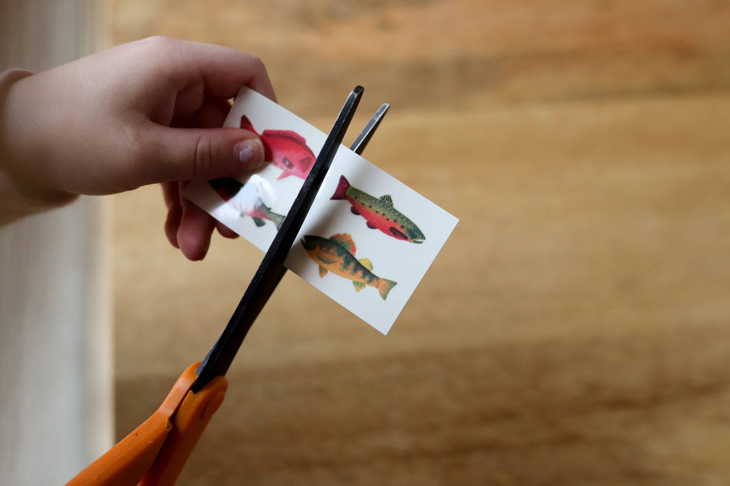 Saint Tattoos - Wholesale Temporary Tattoo - Gone Fishin' Temporary Tattoos5