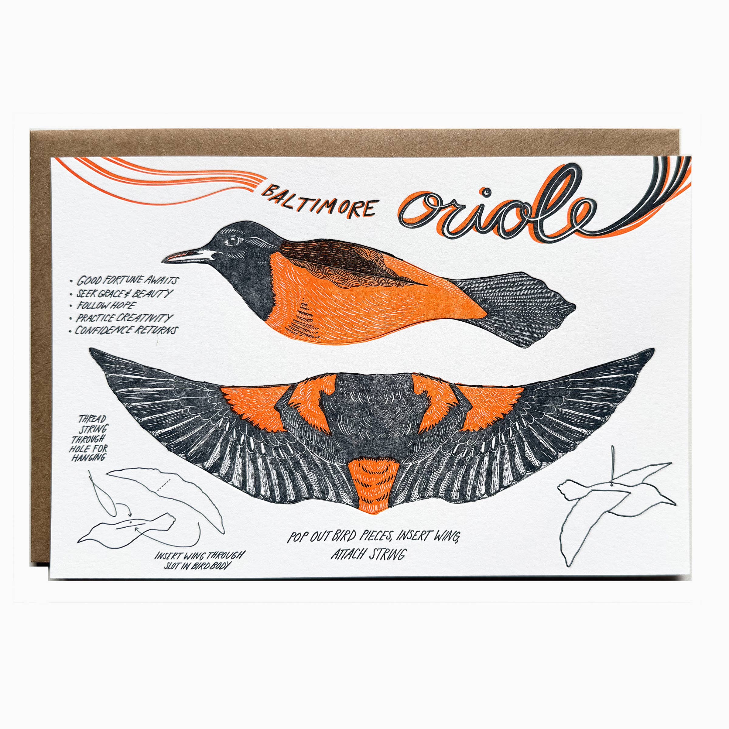 Blackbird Letterpress – wholesale Everyday greeting card – oriole pop-out bird card0