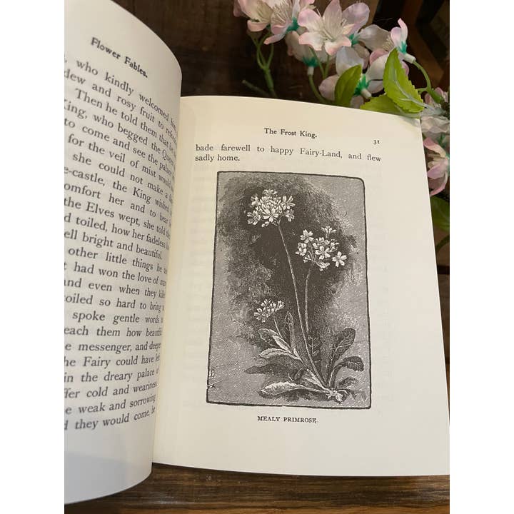 Applewood Books - Wholesale Book - Adult - Flower Fables