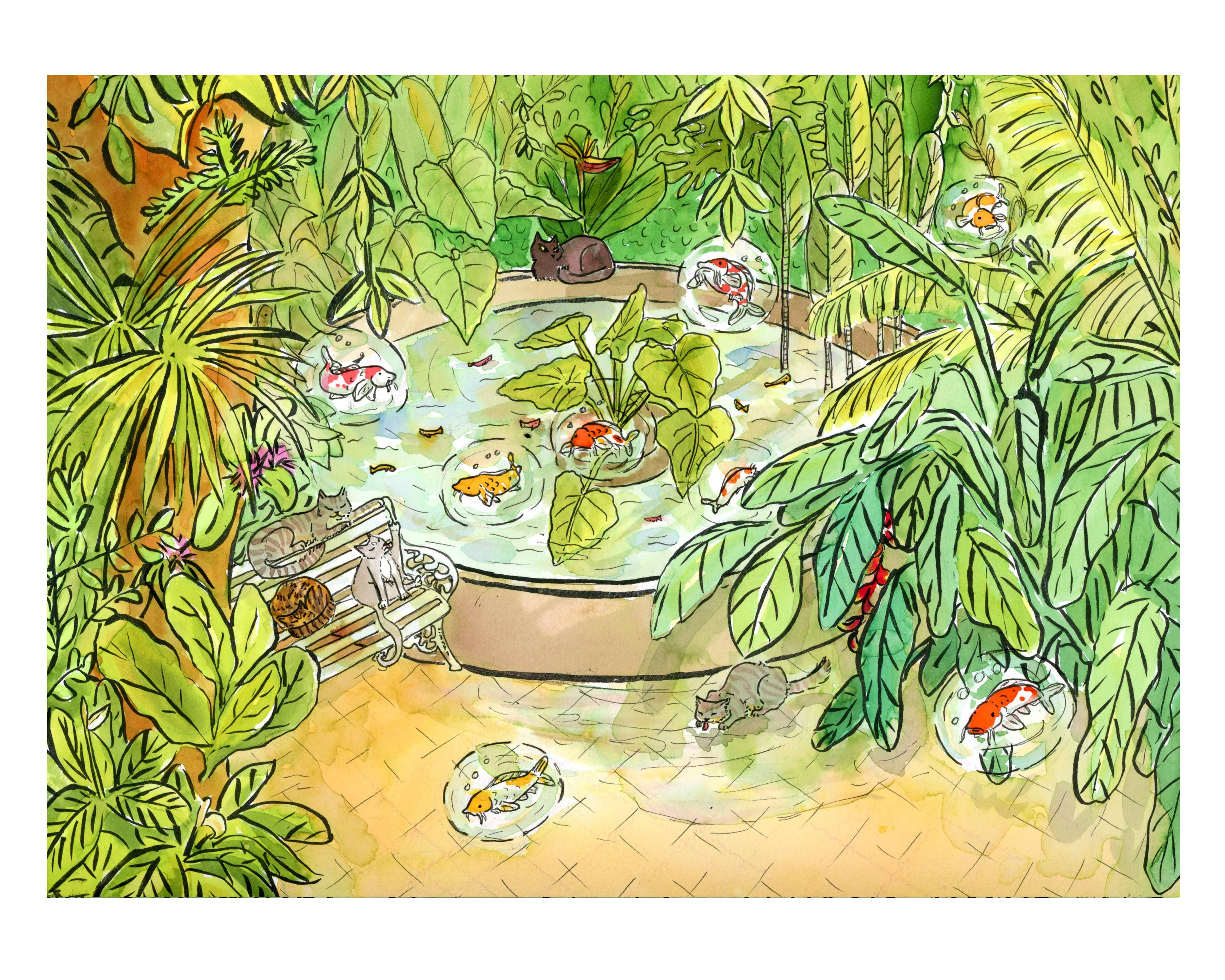 SquidCat, Ink - Wholesale Art Print - The Koi Pond Art Print2