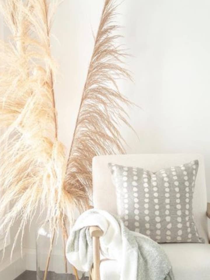 Stelo Uva per la vendita all'ingrosso da parte di Botanico Ltd.