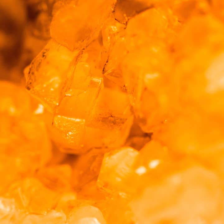 Fruity Plum Amber Candle & Soap Fragrance Oil for wholesale by Scentivore