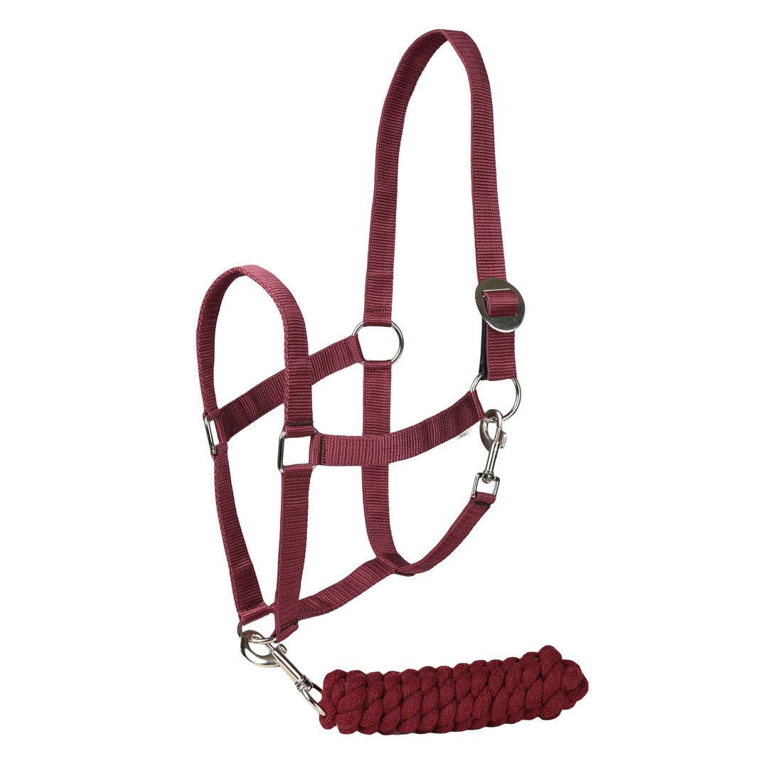 JPC Equestrian - Vente Équipement d’équitation - Ensemble licou et corde TuffRider avec cuir détachable1