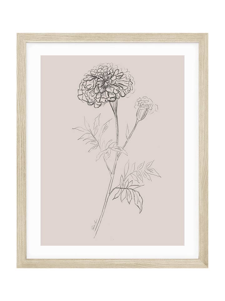 Marigold, October Birth Flower for wholesale by Love by Phoebe