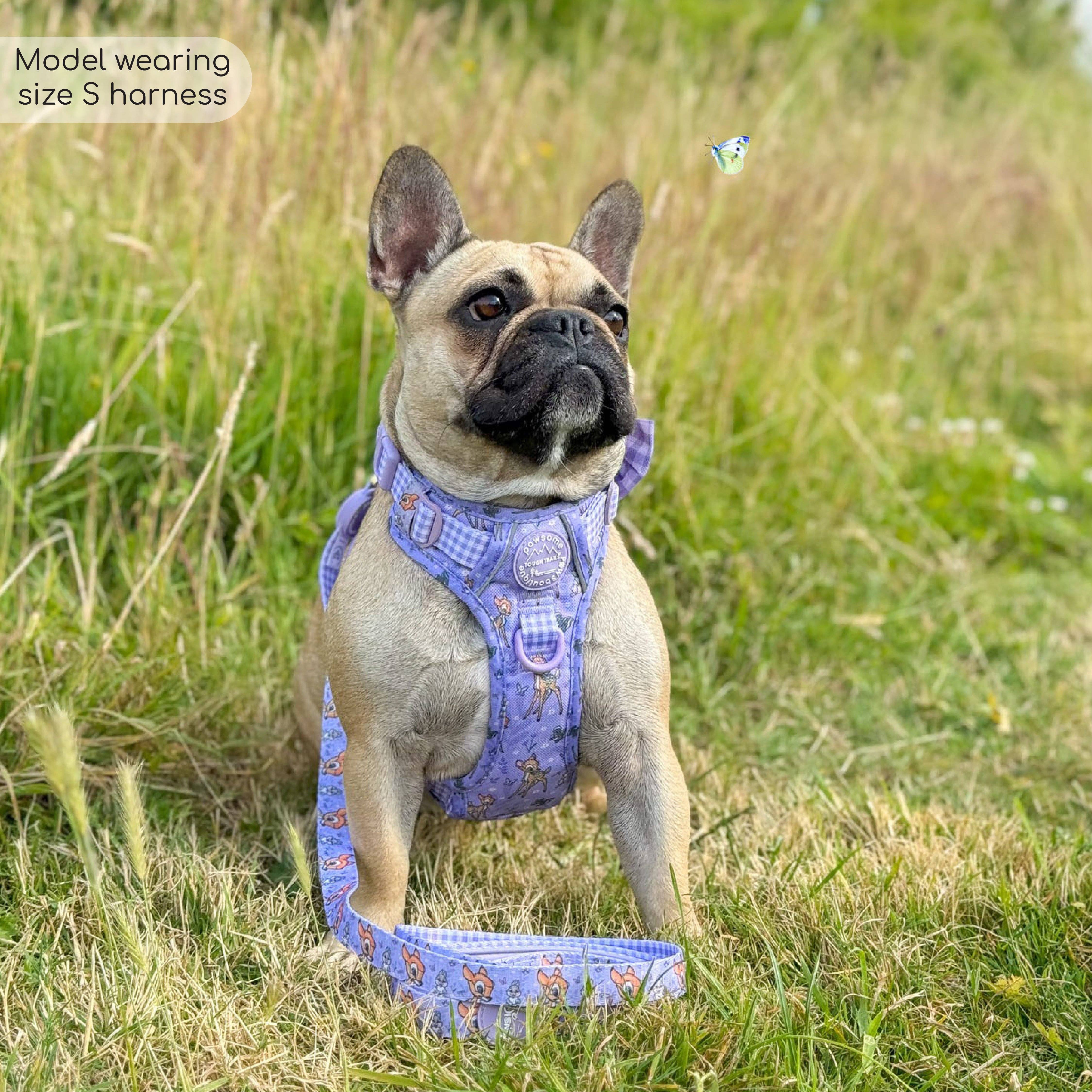 Pawsome Paws - Wholesale Pet Harness - Dog - Disney© Tough Trails™ Harness - Bambi + Friends Lilac3