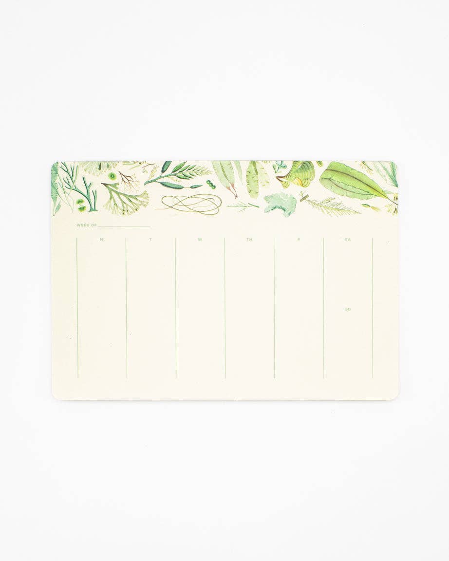 Cognitive Surplus - Wholesale Planner - Seaweed Calendar Pad (Case of 6)