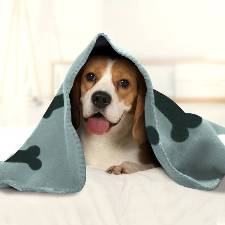 Nobleza - Vendita all'ingrosso Piumino - Cani e gatti - Nobleza - Coperta per animali domestici cani e gatti1