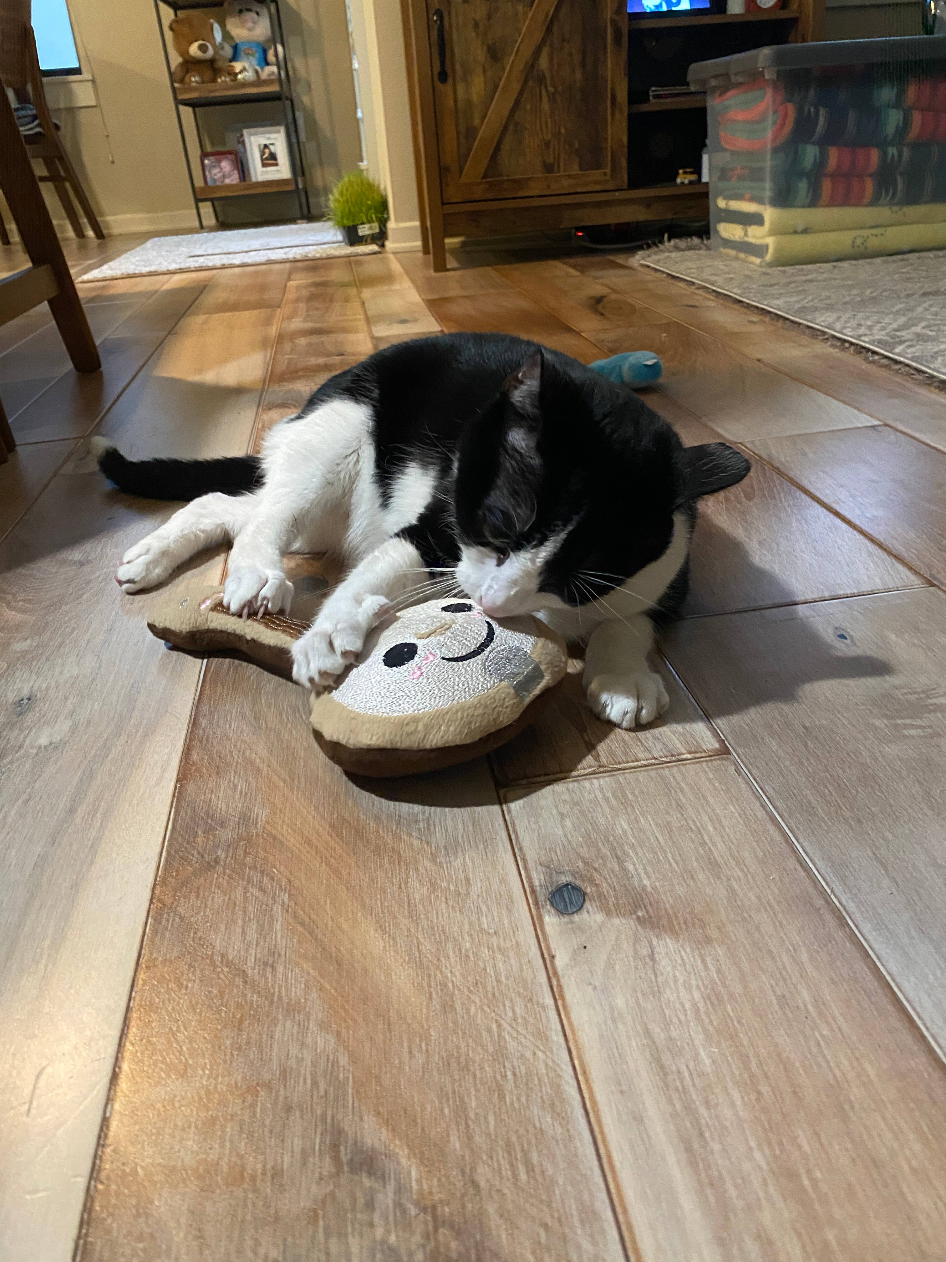 Screaming Pickles - Wholesale Pet Plush Toy - Dog - Handmade Pet Toys - Banjo Plush Toy for Dogs or Cats6