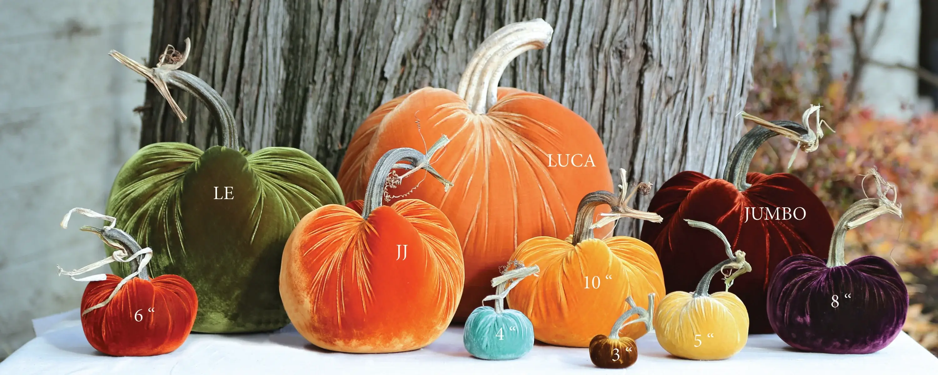 Hot Skwash - Wholesale Decorative Tabletop Object - Celery Silk Velvet Pumpkin3