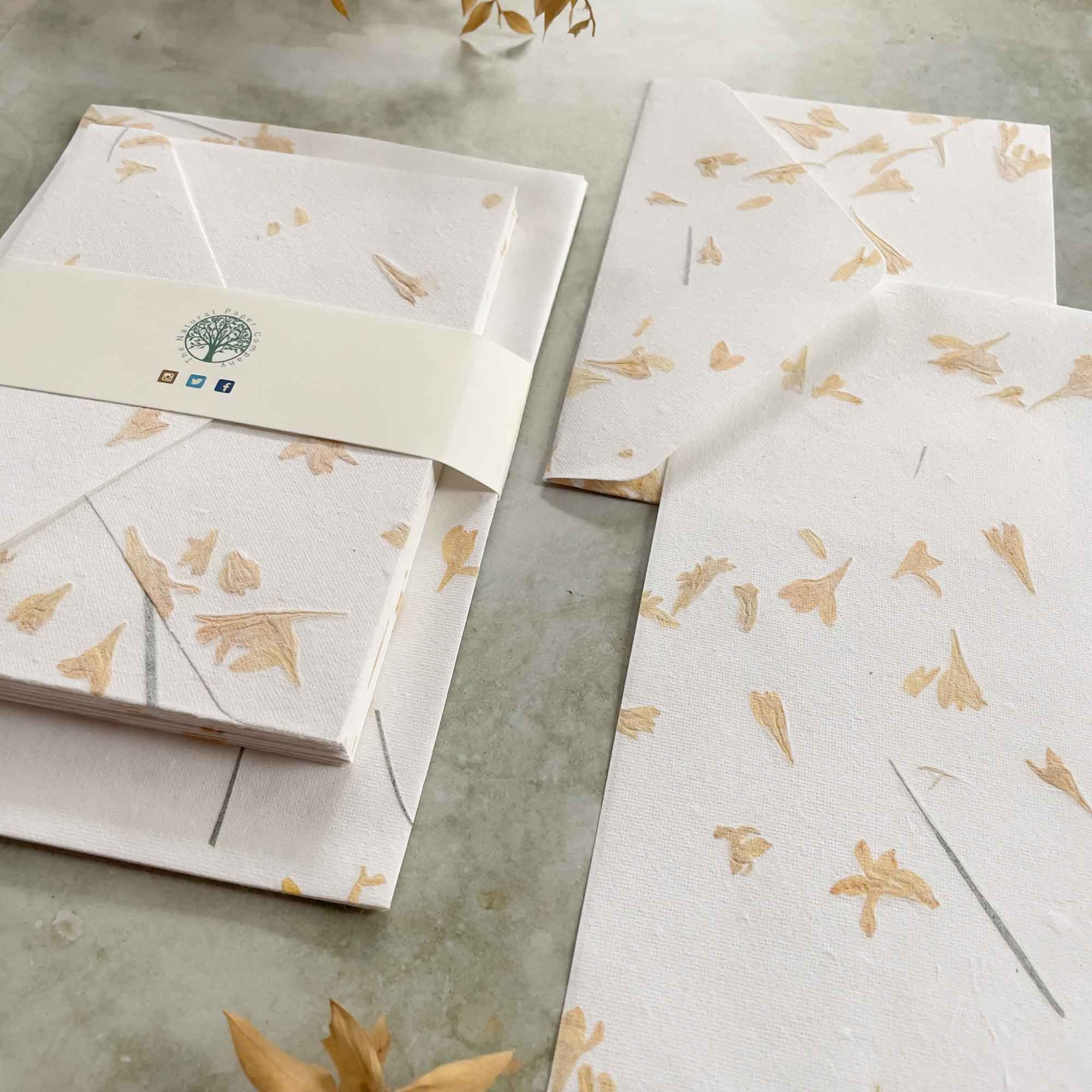 The Natural Paper Company – wholesale Stationery/notecard set – Gaillardia - Flower Handmade Paper and Envelopes | Recycled 7