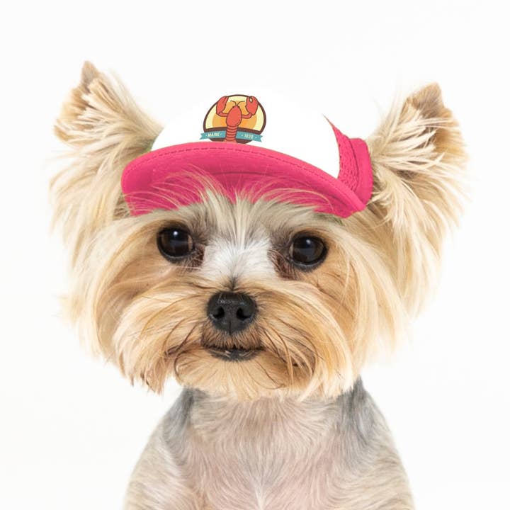 PupLid - Wholesale Pet Hat - Dog - Lobster Standard or Namedrop | Trucker Hat for Dogs13