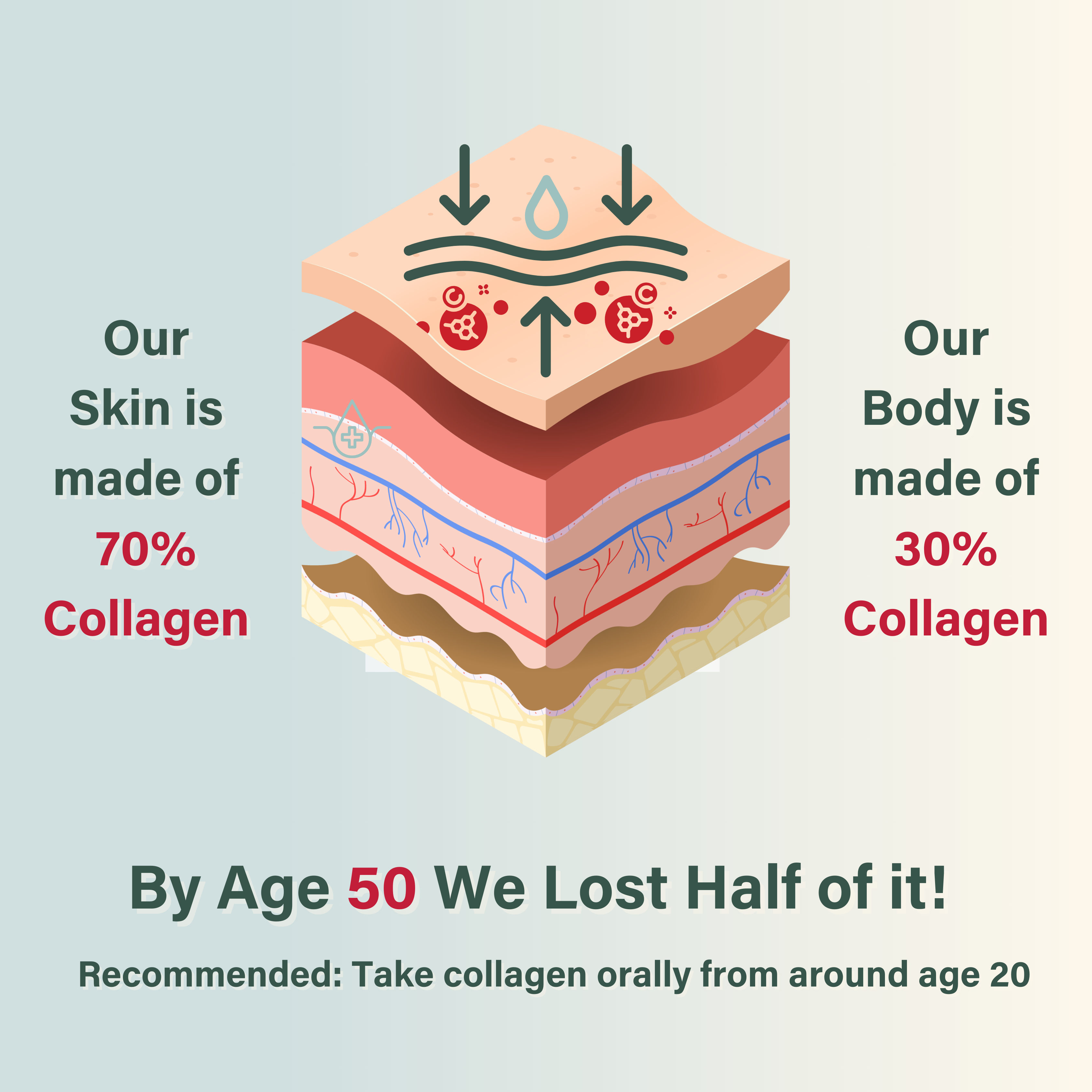 Nutri Beauties – wholesale Oral supplement/vitamin – Nutri Beauties 6-in-1 Hydrolysed Marine Collagen 10,000Mg11